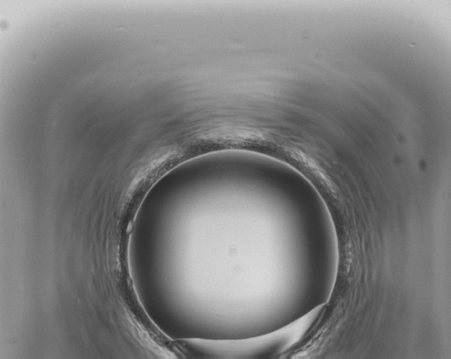 X0000060770399200511171218