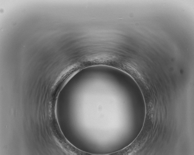 X0000060770400200511171218