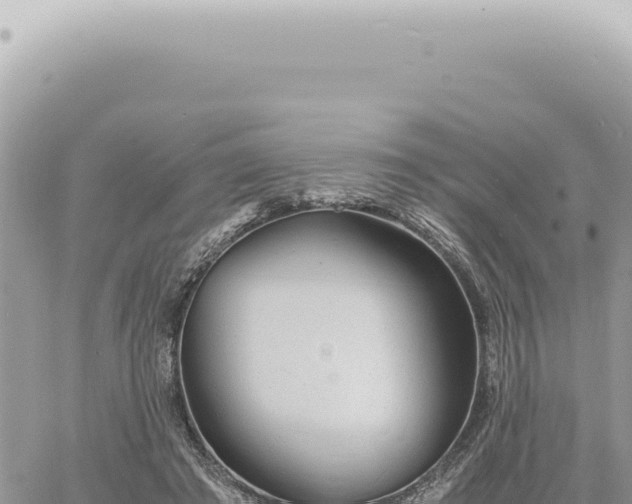 X0000060770401200511171218