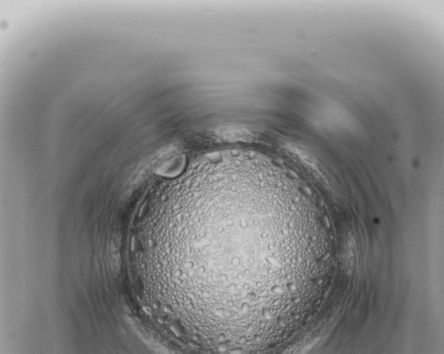 X0000060770402200511171218