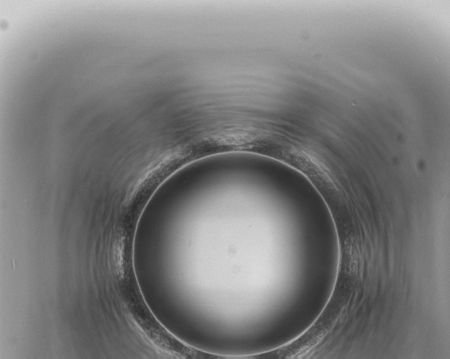 X0000060770404200511171218