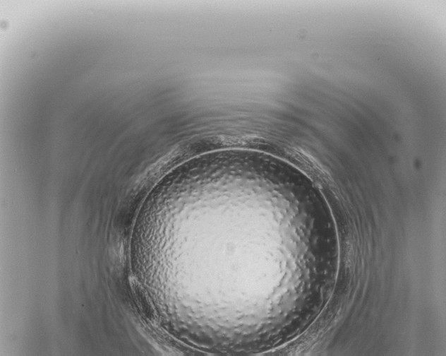 X0000060770405200511171218