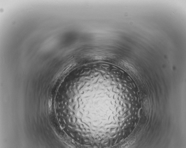 X0000060770406200511171218