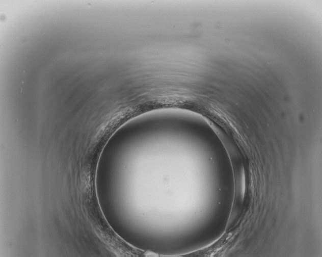 X0000060770407200511171218