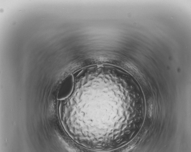 X0000060770410200511171218