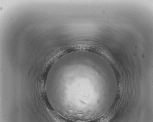 X0000060770411200511171218