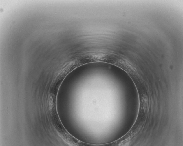 X0000060770412200511171218