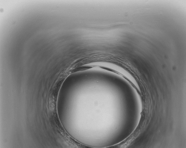 X0000060770413200511171218