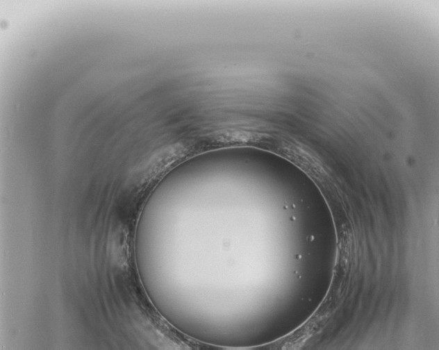 X0000060770414200511171218