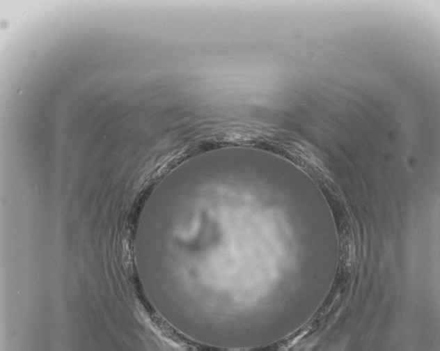 X0000060770415200511171218