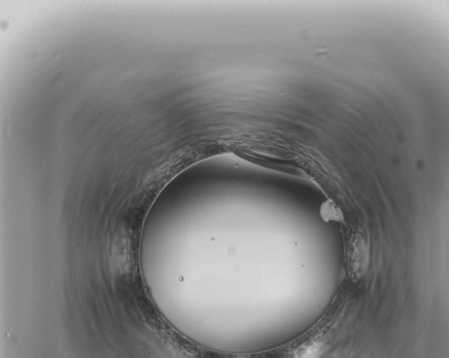 X0000060770416200511171218