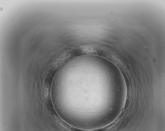 X0000060770417200511171218