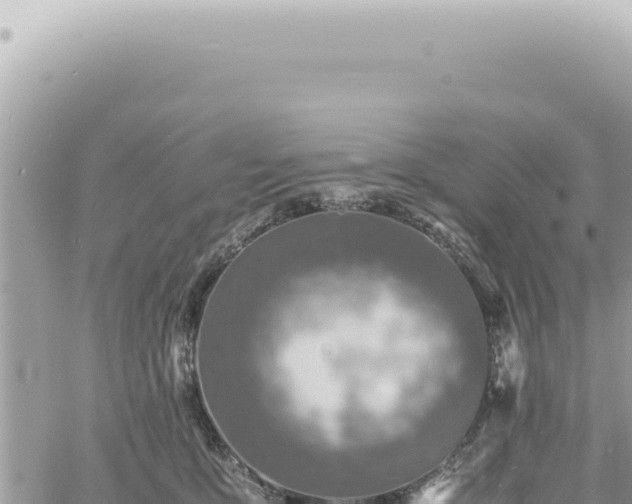 X0000060770419200511171218