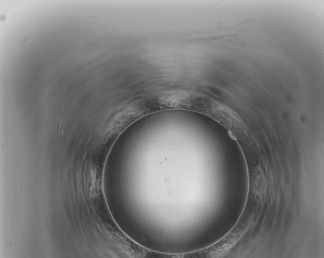 X0000060770420200511171218