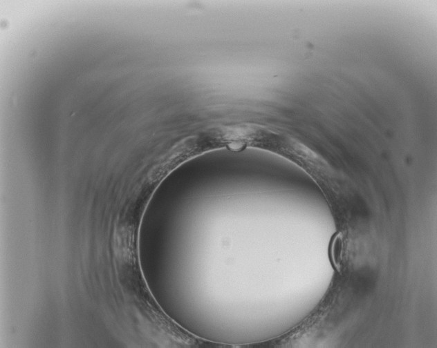 X0000060770421200511171218