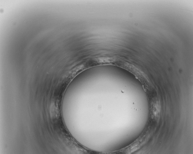 X0000060770422200511171218