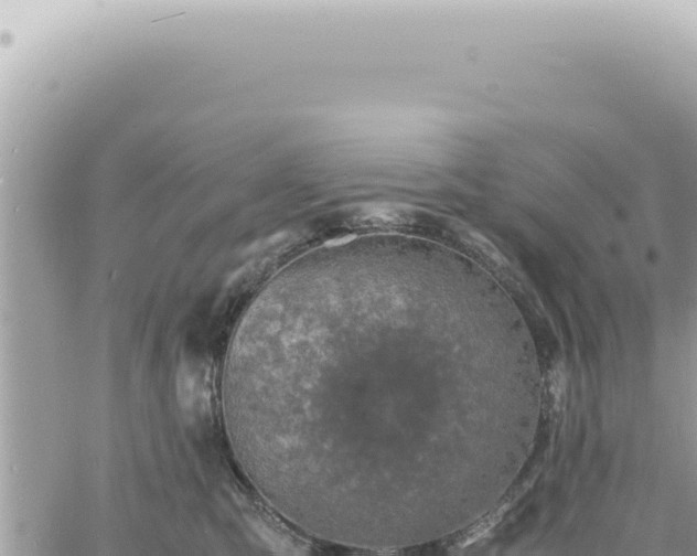 X0000060770423200511171218