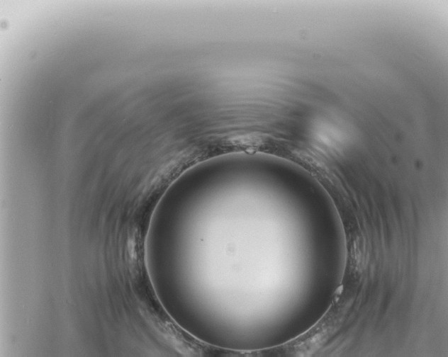 X0000060770424200511171218