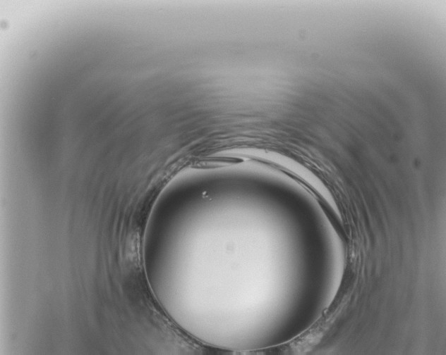 X0000060770425200511171218