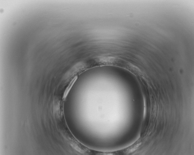 X0000060770428200511171218