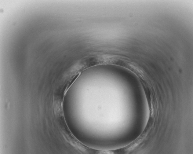 X0000060770429200511171218