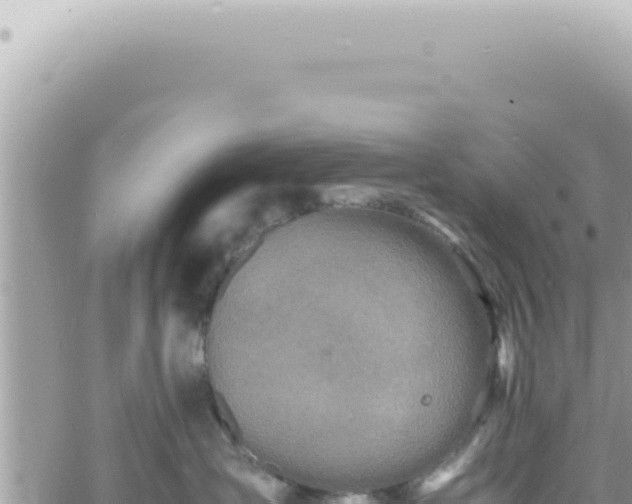 X0000060770431200511171218