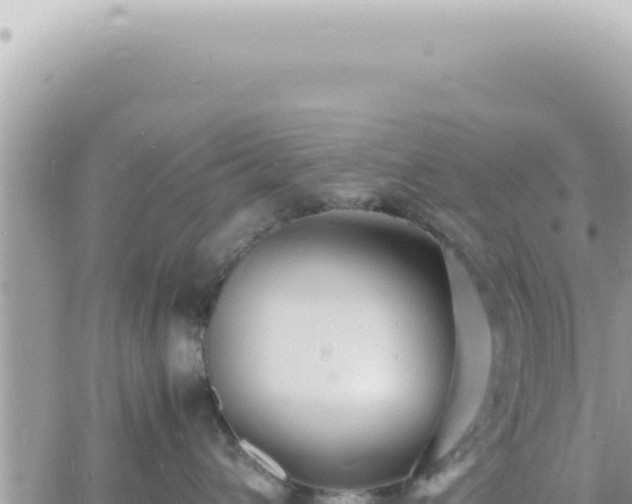 X0000060770432200511171218