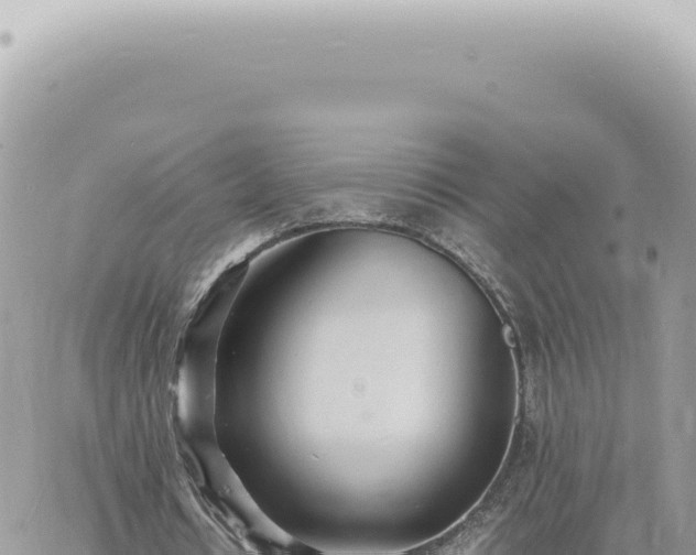 X0000060770434200511171217