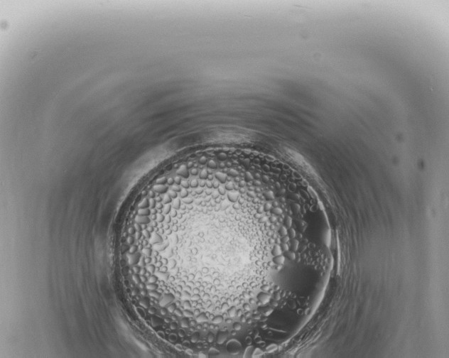 X0000060770435200511171217