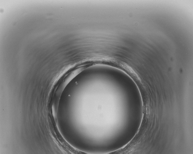 X0000060770436200511171217