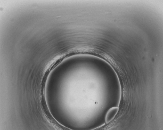 X0000060770438200511171217