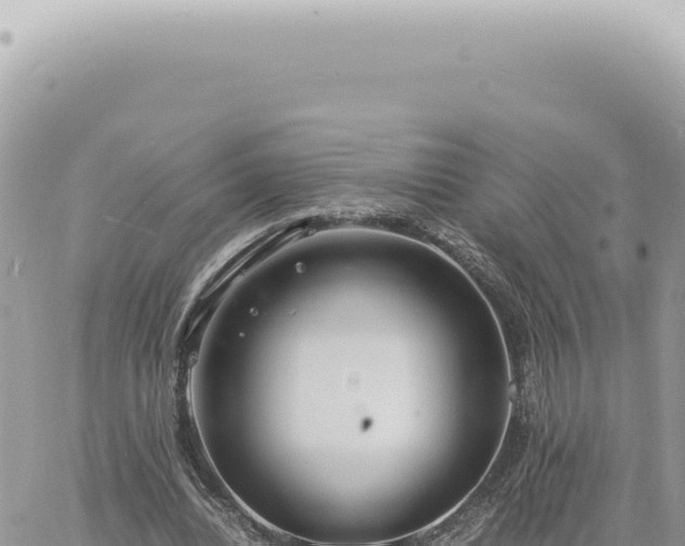 X0000060770440200511171217