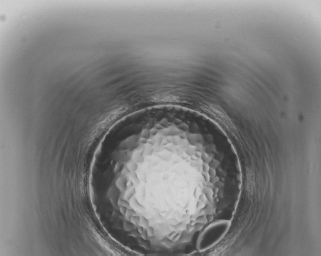 X0000060770441200511171217