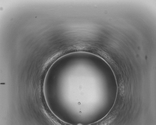 X0000060770442200511171217