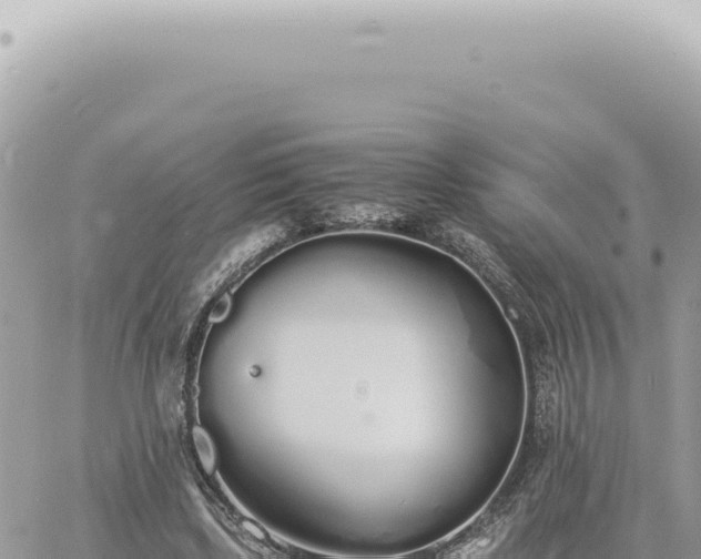 X0000060770443200511171217