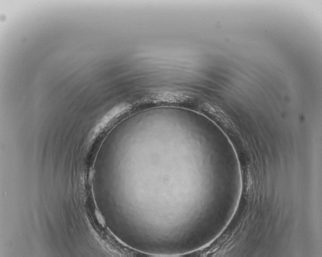 X0000060770444200511171217