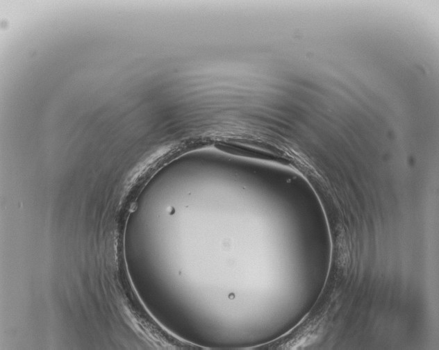 X0000060770446200511171217