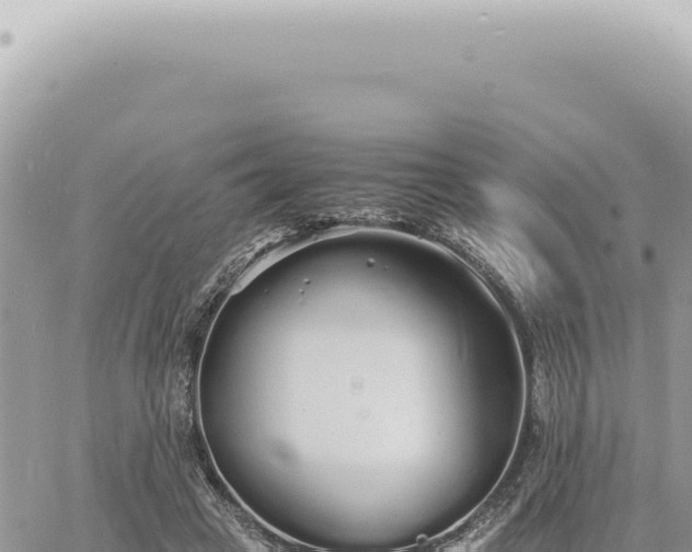 X0000060770449200511171217