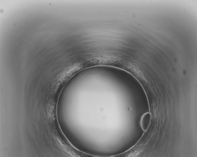 X0000060770450200511171217