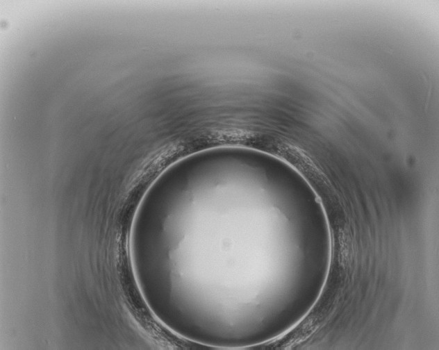 X0000060770451200511171217