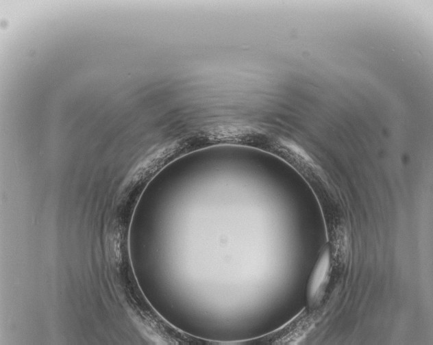 X0000060770452200511171217