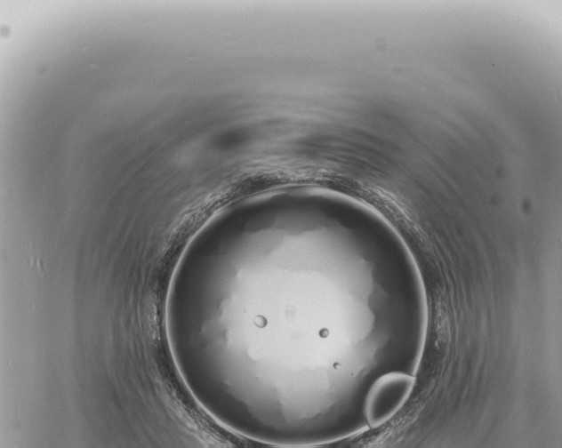 X0000060770453200511171217