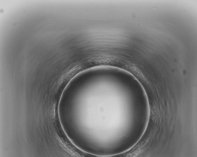 X0000060770454200511171217