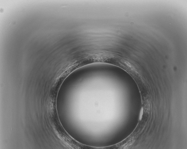 X0000060770456200511171217