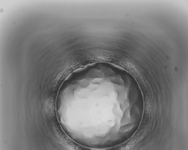 X0000060770457200511171217