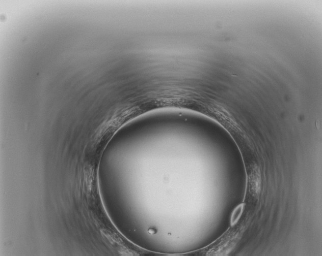 X0000060770458200511171217