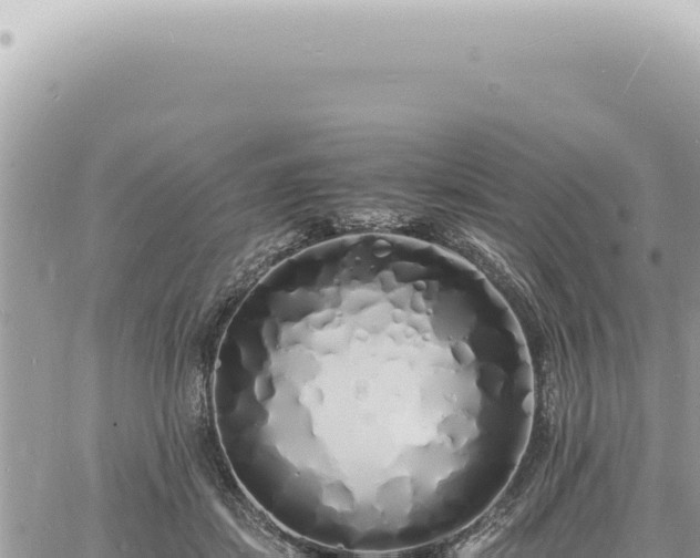 X0000060770459200511171217