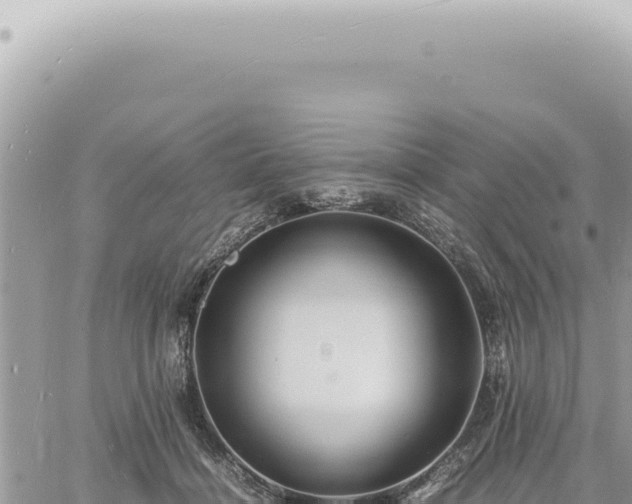 X0000060770460200511171218