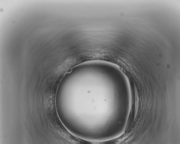 X0000060770462200511171218