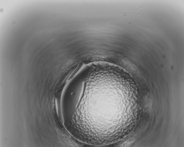 X0000060770463200511171218